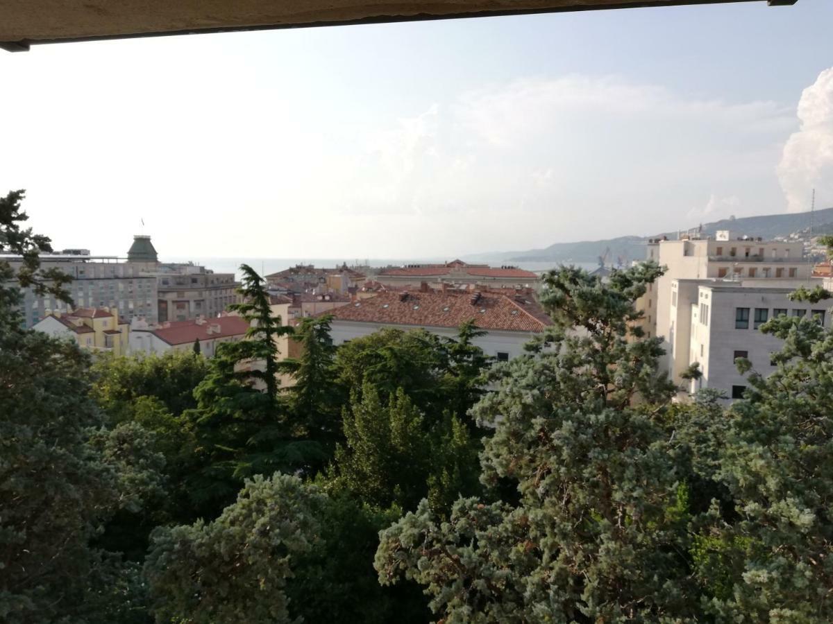Residence Teatro Romano Trieste Ngoại thất bức ảnh